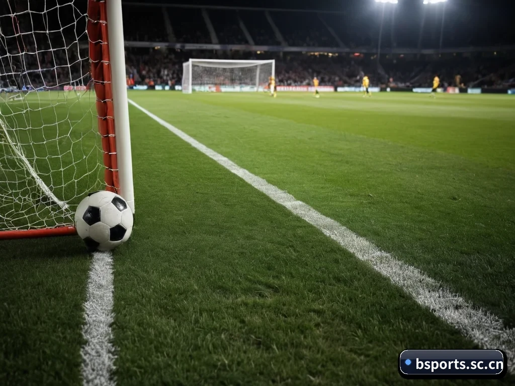 我们在做什么（B-SPORTS）